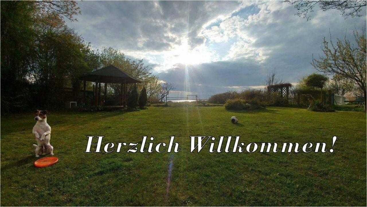 Villa Beata Nowe Warpno Exteriér fotografie